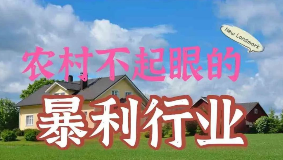 最适合农村创业的项目，可以考虑这十个项目!-阿志说钱