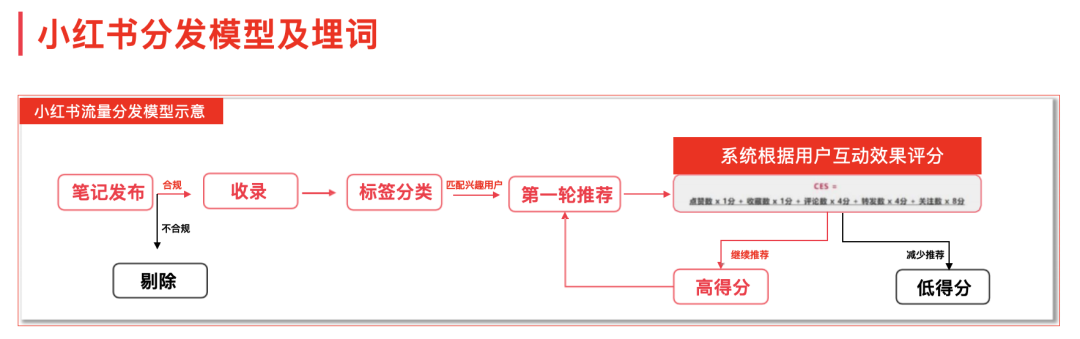 图片[5]-新手小白想做小红书，怎么开始？-阿志说钱