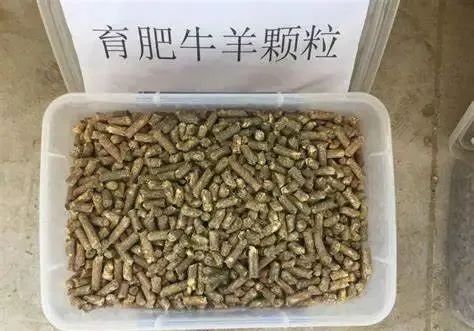 图片[4]-农村新型加工小生意：只需2万投资，每天可赚1600＋，年赚40w！非常暴利！-阿志说钱