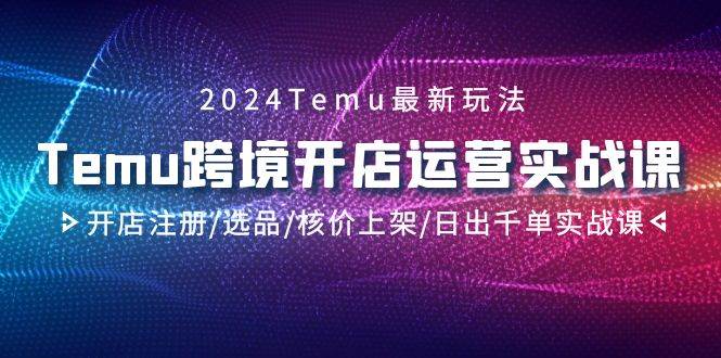 图片[1]-2024年必修课程：Temu跨境开店运营实战，从零到日销千单攻略！-阿志说钱