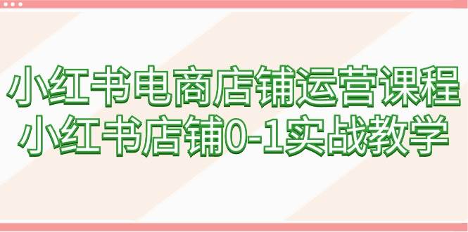 图片[1]-小红书电商店铺运营精讲：从0到1实战攻略（60节全面课程）-阿志说钱