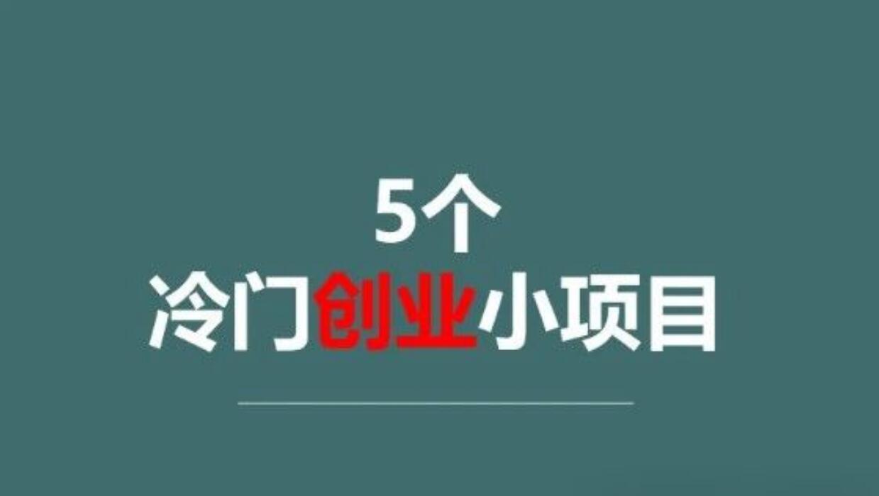 一年收入50-100万，利润吓人的5个冷门项目，适合白手起家！-阿志说钱