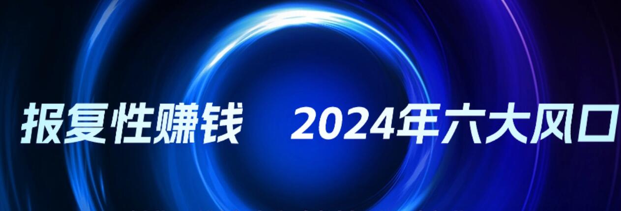 报复性赚钱，2024年度最有潜力的六大创业风口-阿志说钱