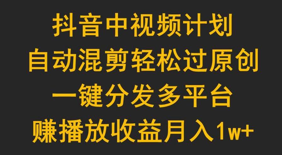 图片[1]-抖音中视频计划月入过万，轻松实现短视频收益增长！-阿志说钱