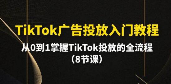 图片[1]-TikTok广告投放新手教程：从零开始，掌握全流程投放技巧-阿志说钱