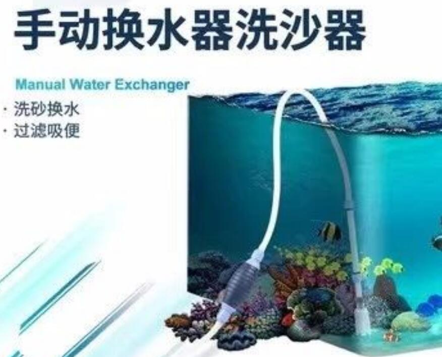 图片[2]-当“鱼”遇上商机：水族市场的隐藏暴利行业-阿志说钱