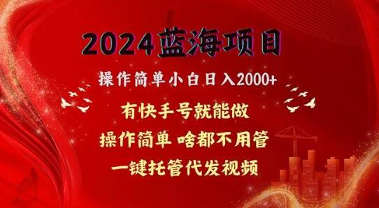 蓝海项目网盘拉新揭秘，小白轻松日入2000+，一键托管代发视频教程-阿志说钱