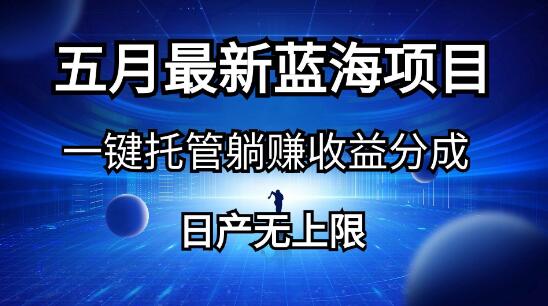 图片[1]-五月新发布，蓝海项目一键托管，躺赚收益分成，日产无上限揭秘！-阿志说钱