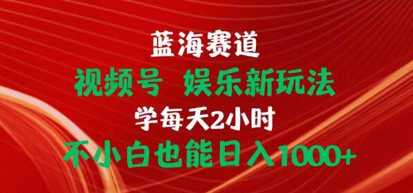 图片[1]-蓝海赛道视频号揭秘，娱乐新玩法，每日2小时投入，小白也能日入1000+！-阿志说钱