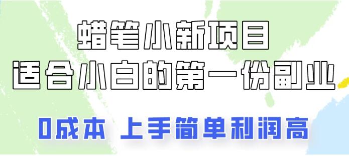 图片[1]-蜡笔小新项目详细拆解：小白也能轻松月入3000+！-阿志说钱