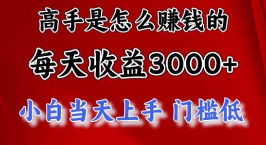 图片[1]-揭秘高手日赚3000+的秘密：小白也能快速上手，低门槛实现高收益-阿志说钱