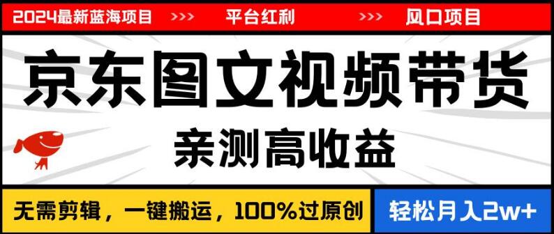 2024最新蓝海商机，京东图文视频带货全攻略-阿志说钱