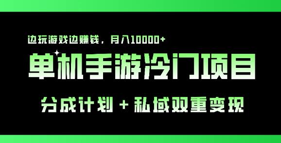 图片[1]-单机手游冷门赛道揭秘，双重变现模式，玩游戏也能月入过万！-阿志说钱