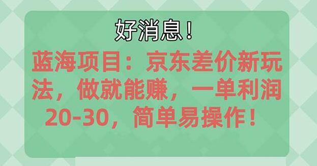 揭秘京东蓝海项目，早知早赚，操作简单利润高，每单20-30-阿志说钱