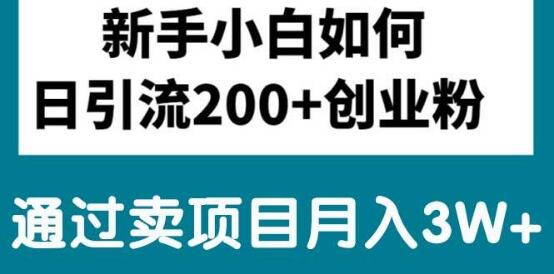 新手小白也能日引流200+创业粉丝，卖项目轻松月入3W+-阿志说钱