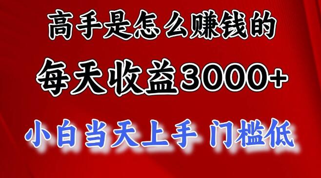 图片[1]-揭秘高手日入3000+的秘密，穷人逆风翻盘必备项目大公开-阿志说钱