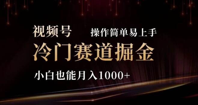 图片[1]-2024视频号新蓝海，冷门赛道轻松掘金，小白也能日入千元，操作简单上手快！-阿志说钱