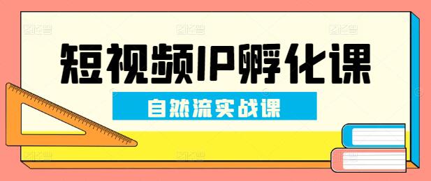 图片[1]-掌握自然流量密码，短视频IP孵化实战课程，从零到百万粉丝的蜕变之路-阿志说钱