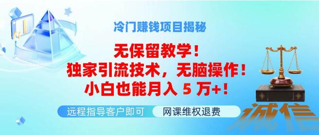 图片[1]-揭秘冷门暴利项目，独家引流秘籍无保留传授！简单无脑操作，小白轻松实现月入5万+！-阿志说钱