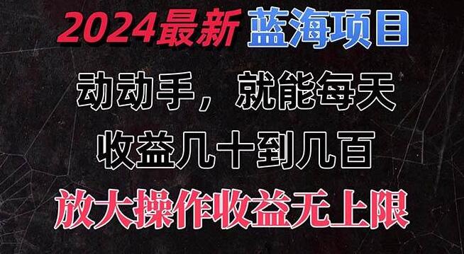 图片[1]-2024年全新蓝海商机，轻松上手项目，日投1小时赚几十至数百，收益可无限放大！-阿志说钱