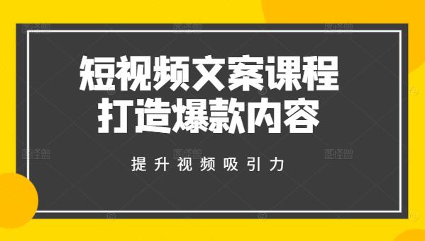 图片[1]-短视频文案实战指南，打造爆款内容，提升视频吸引力-阿志说钱