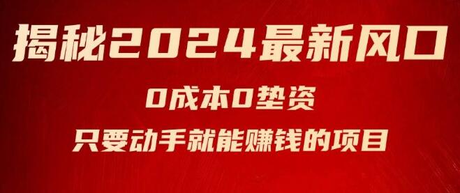 图片[1]-2024年最新赚钱风口揭秘，专为新手小白设计的动手即赚项目-阿志说钱