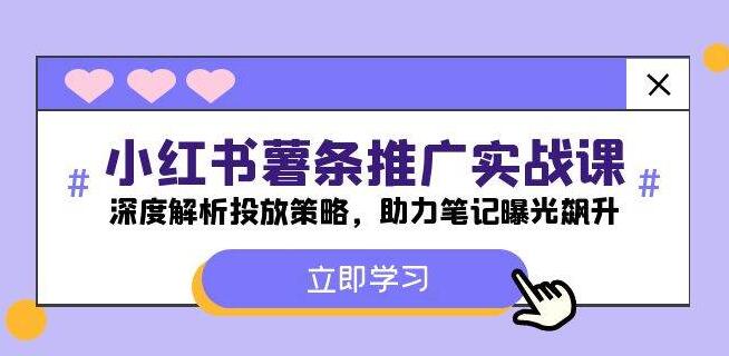 图片[1]-小红书薯条推广实战秘籍，精准解析投放策略，引爆笔记曝光量，轻松提升影响力！-阿志说钱