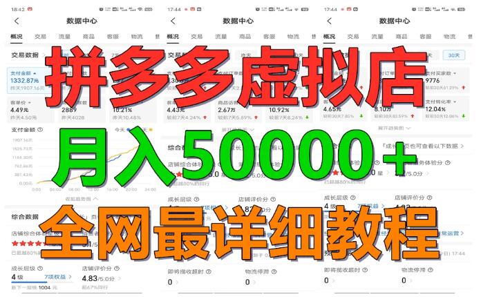 图片[1]-拼多多虚拟电商实战攻略，稳定月入5万+，副业首选，长期盈利！-阿志说钱