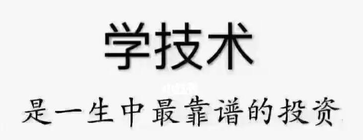 专科文科毕业，想学一门技术养活自己，推荐学什么比较香？-阿志说钱