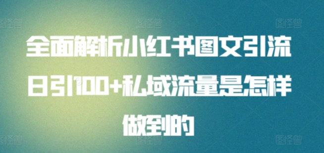 图片[1]-小红书图文营销秘籍，日引100私域流量实战解析，全面揭秘引流技巧！-阿志说钱