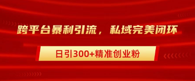 图片[1]-高效跨平台引流策略，打造私域闭环，日入300+精准创业粉丝秘籍-阿志说钱