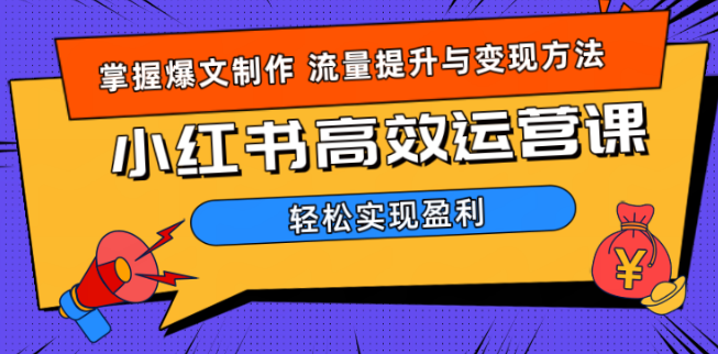 图片[1]-小红书运营实战宝典，全面解析操作技巧，价值远超980！-阿志说钱