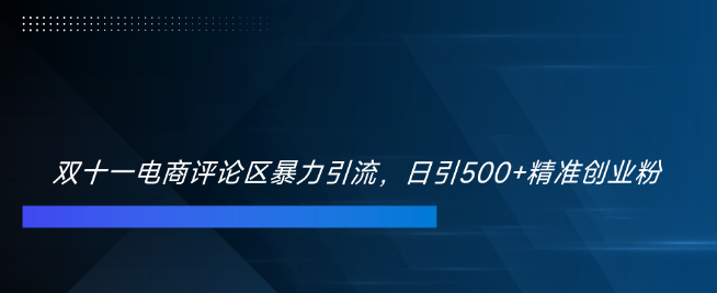 图片[1]-双十一电商评论引流攻略，精准捕获500+创业粉丝！-阿志说钱