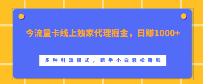 图片[1]-流量卡线上独家代理新机遇，日入千元，多种高效引流模式助力，新手小白也能轻松掘金！-阿志说钱