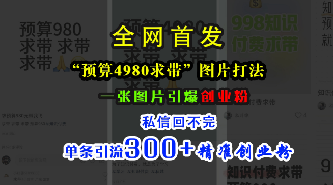 图片[1]-小红书“4980带我飞”图片策略，高效引流创业粉，单条信息吸引300+精准客户-阿志说钱