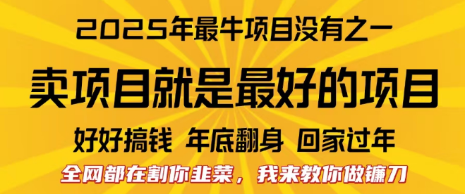 图片[1]-2025年互联网创业新趋势，掌握卖项目的艺术，教你如何成为镰刀而非韭菜！-阿志说钱