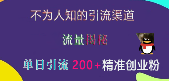 图片[1]-揭秘高效引流新渠道，精准捕获创业粉丝，实测单日引流超200+-阿志说钱