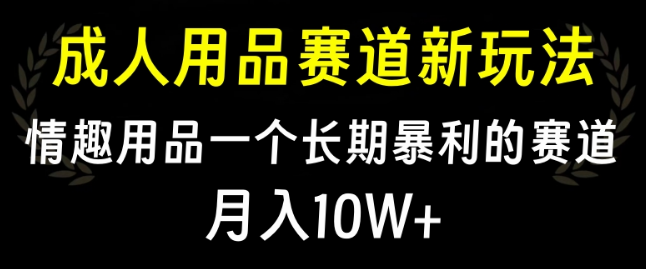 图片[1]-情趣用品新赛道揭秘，长期高利润，成人用品市场月入10W+策略！-阿志说钱