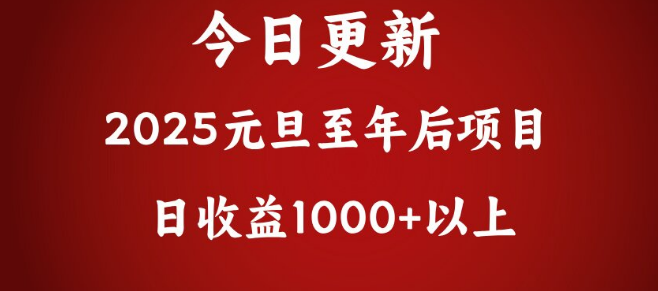 图片[1]-翻身利器，高效项目助你日收益超千元实战解析！-阿志说钱