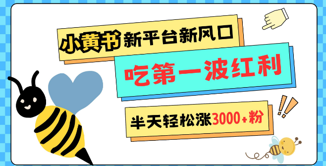 网易版小红书震撼上线，新平台新机遇，宽松管理助力，半天狂揽3000粉，首波红利期等你把握！-阿志说钱