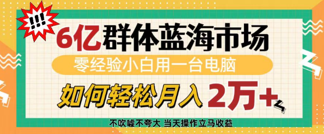 图片[1]-6亿蓝海市场潜力巨大，零经验小白仅凭电脑如何实现轻松月入2万+-阿志说钱