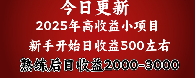 图片[1]-2025开年热门项目来袭，新手轻松日入500+，熟练掌握后日均收益超2000+-阿志说钱