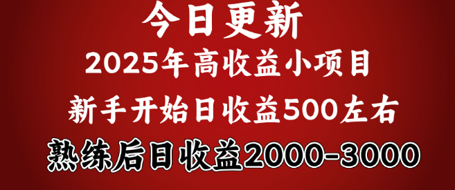 图片[1]-日收益高达1000+，稳定长久可做，2025年，勤奋决定胜负！-阿志说钱